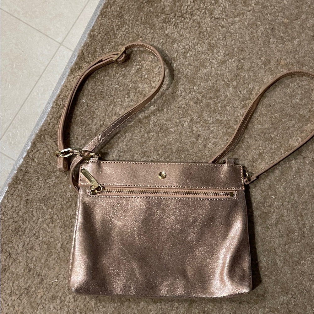 G.I.L.I. Shiny Bronze Crossbody Bag
